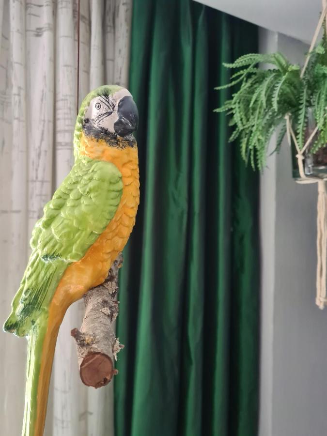 Serendipity Apartments - Montenapoleone Mediolan Zewnętrze zdjęcie